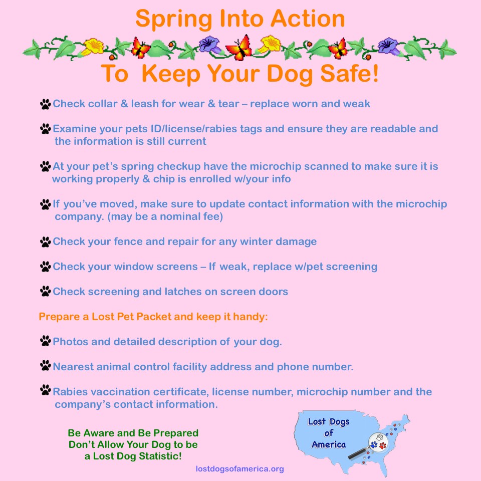TIP-Spring into Action