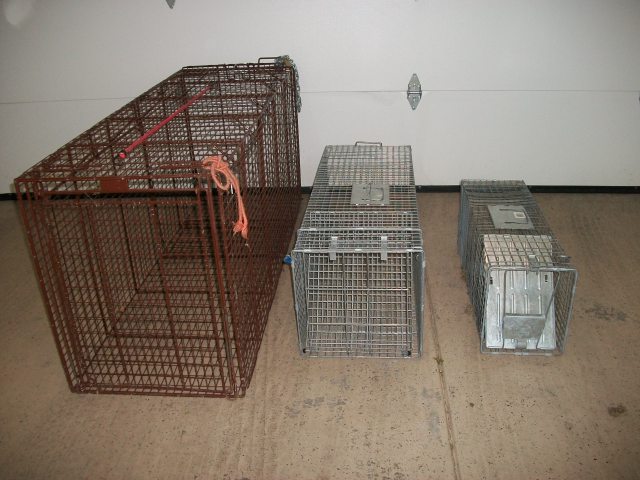 Size Comparison (from left to right) Tru Catch large dog trap 22″ x 28″ x 60″ Havahart large raccoon trap 15″ x15.5″ x 42″ Havahart small trap 10″ x 12.5″ x 32″ (not recommended for dogs)