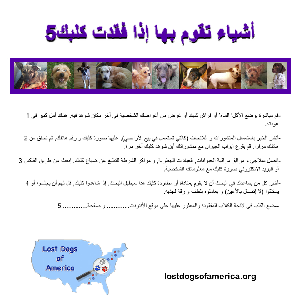 LDA-Arabic 5Things FOUND Flyer