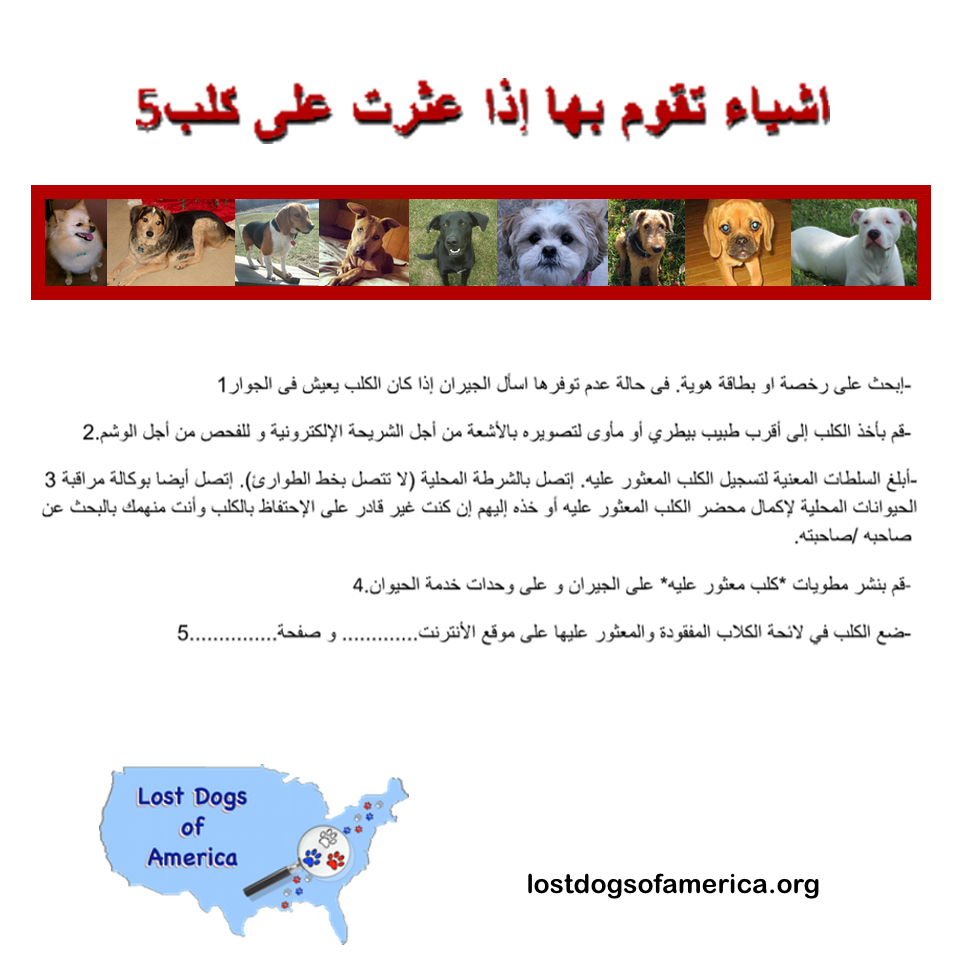 LDA-Arabic 5Things LOST Flyer