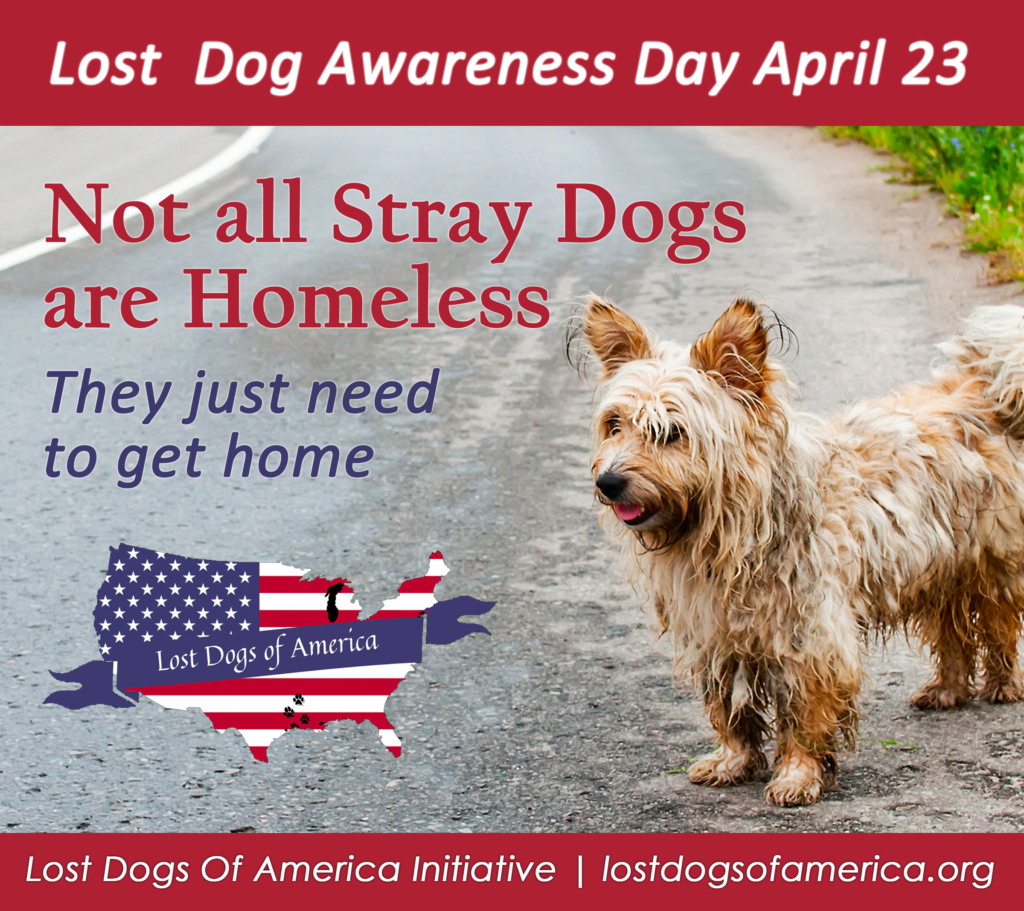 Awareness Day Lost Dogs of America